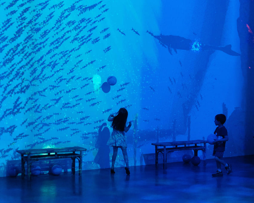 Interact with Jurassic sea giants in a unique virtual aquarium